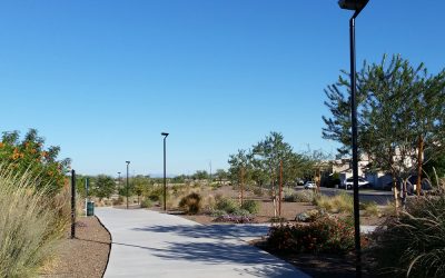 Lighting a Park in El Mirage – Turning “Eye Sore” into a Source of Community Pride