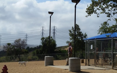 Popular Dog Park Lit With Solar Area Lights